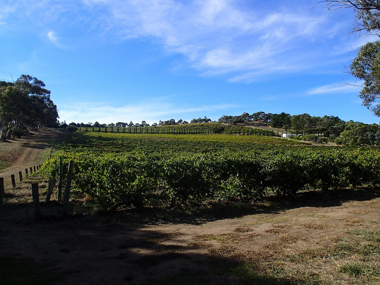 Australian Wines